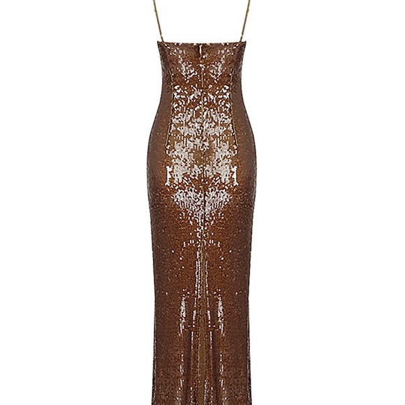 Brown Sequins Maxi Dress - Picture 4 of 8